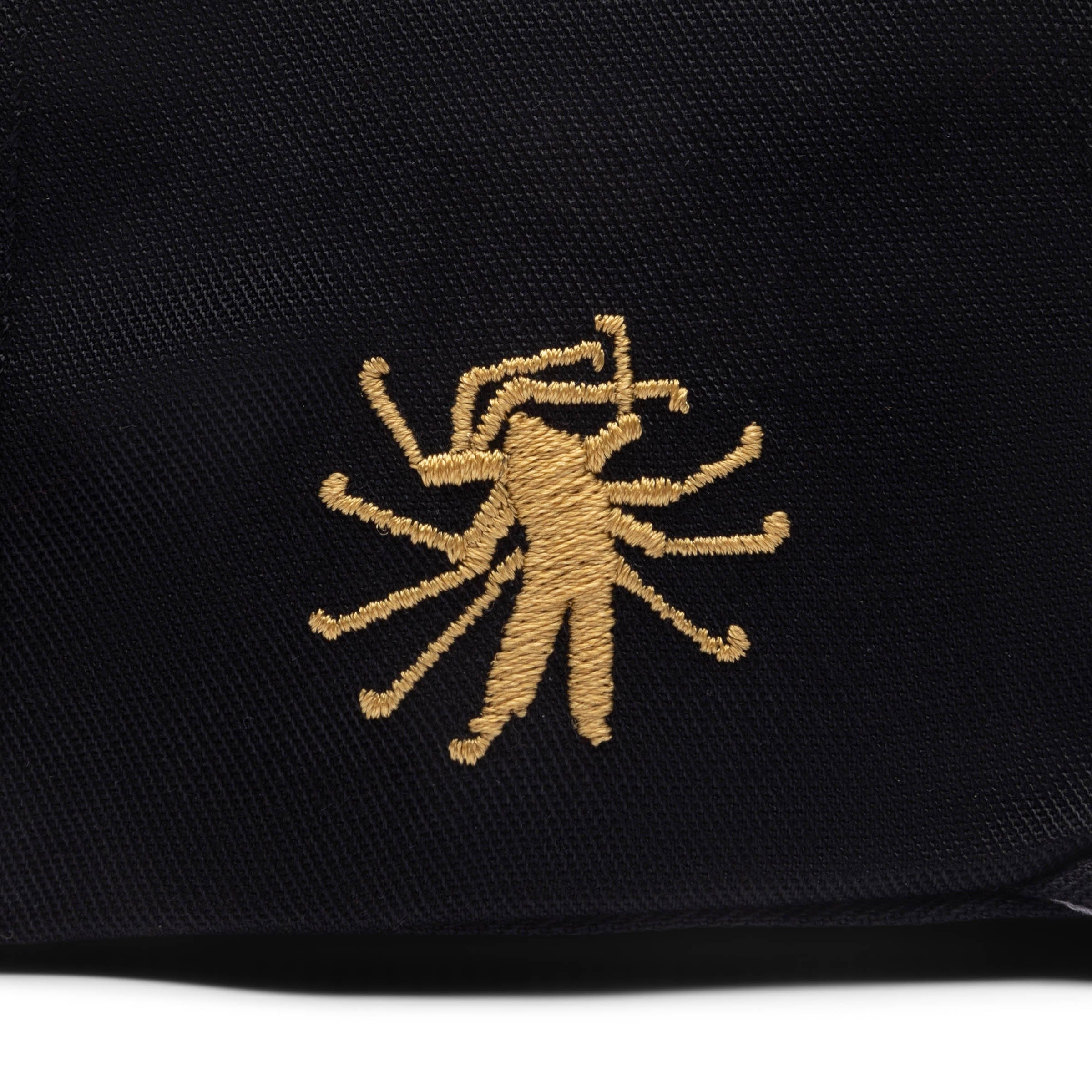 SCRIPT SNAPBACK、mySite、zt4zffjzw