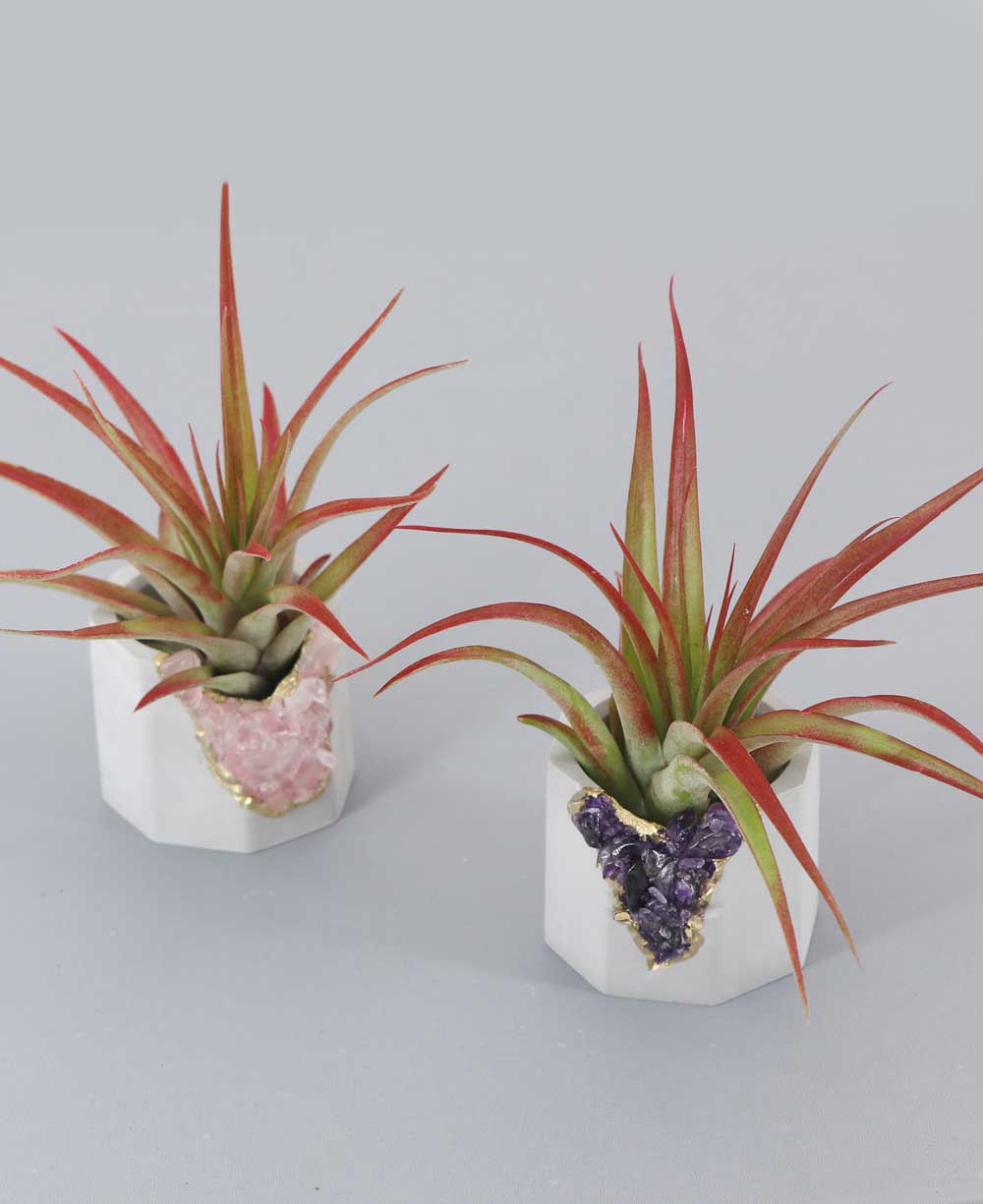 Small Gemstone and Concrete Air Plant or Tea-light Candle Holder、mySite、topwebapps