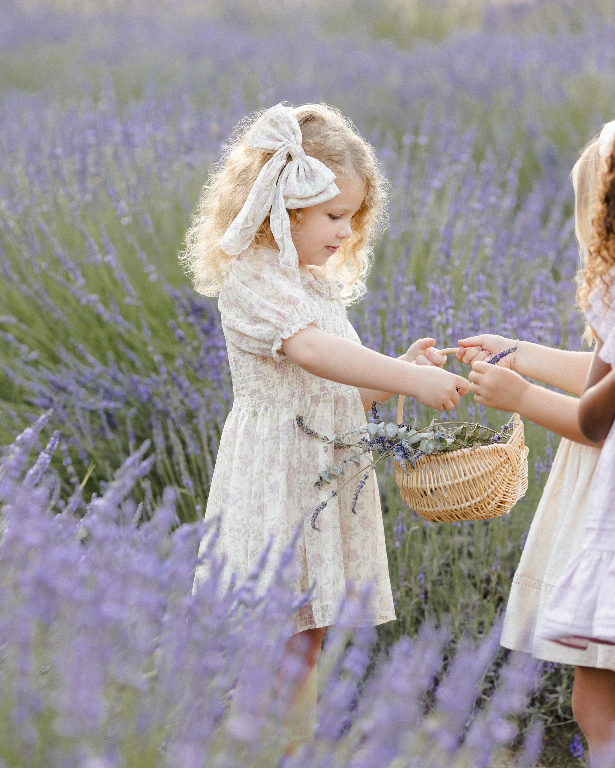  Alice Bow || Lavender Fields、mySite、layawaytickets