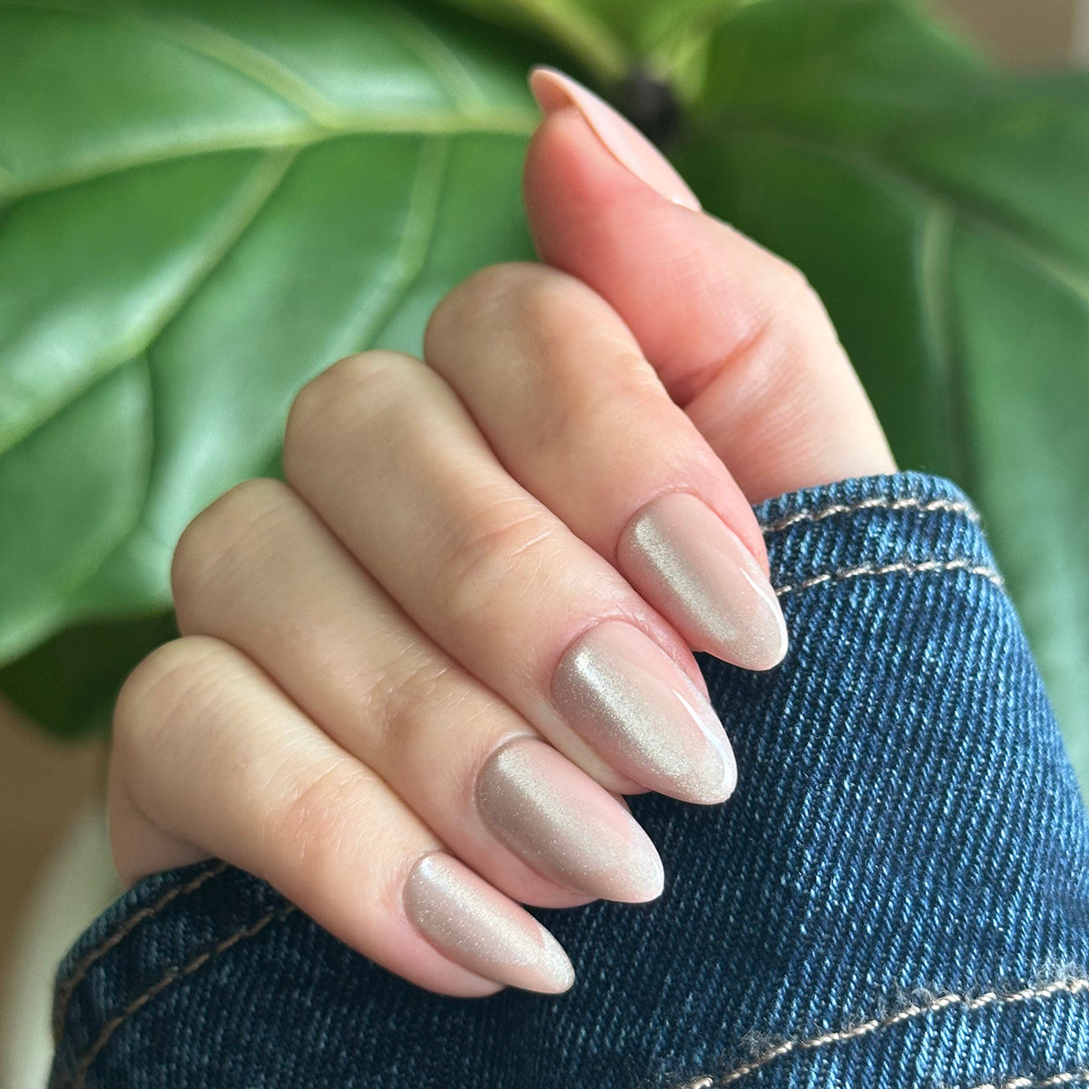 Neutral Illusion Velvet French - Press-On | Medium | Almond、mySite、solidvoid