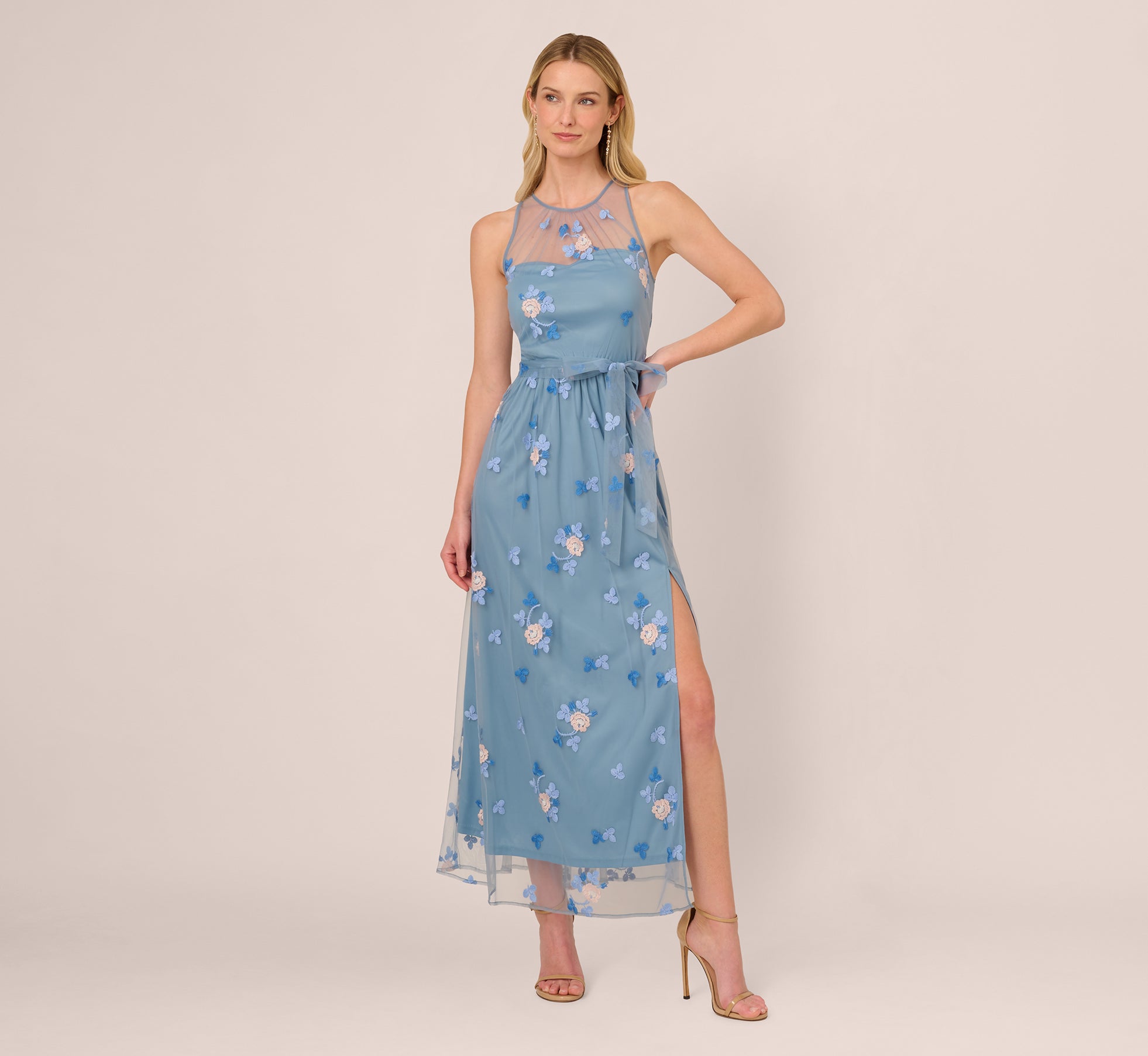 Sleeveless Illusion Embroidered Maxi Dress In French Blue Multi、mySite、solidvoid