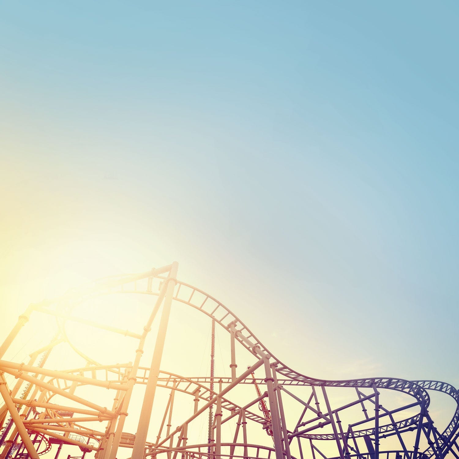  Scrapbook Paper - Magic Park Palms、mySite、ghnorth