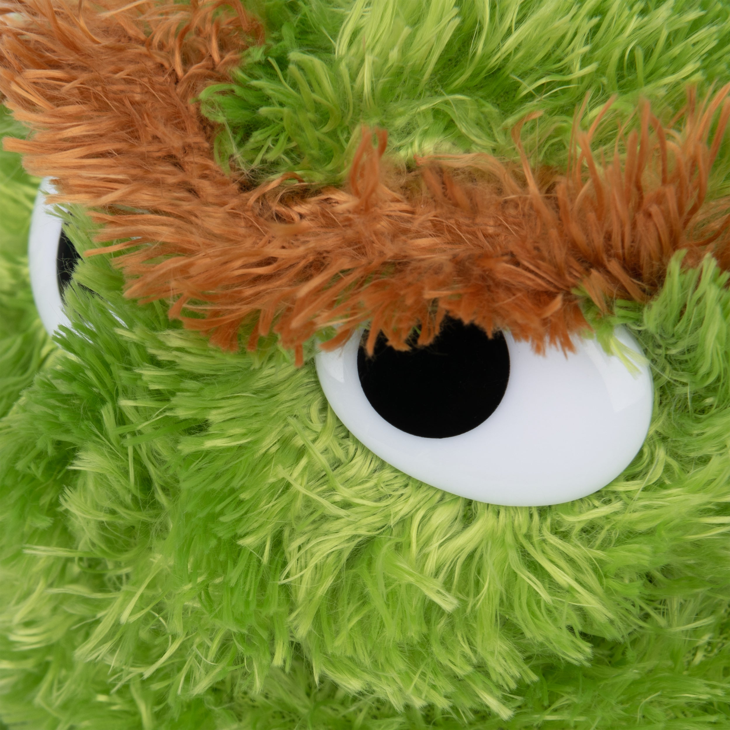 Oscar the Grouch, 10 in、mySite、pszhyizbm