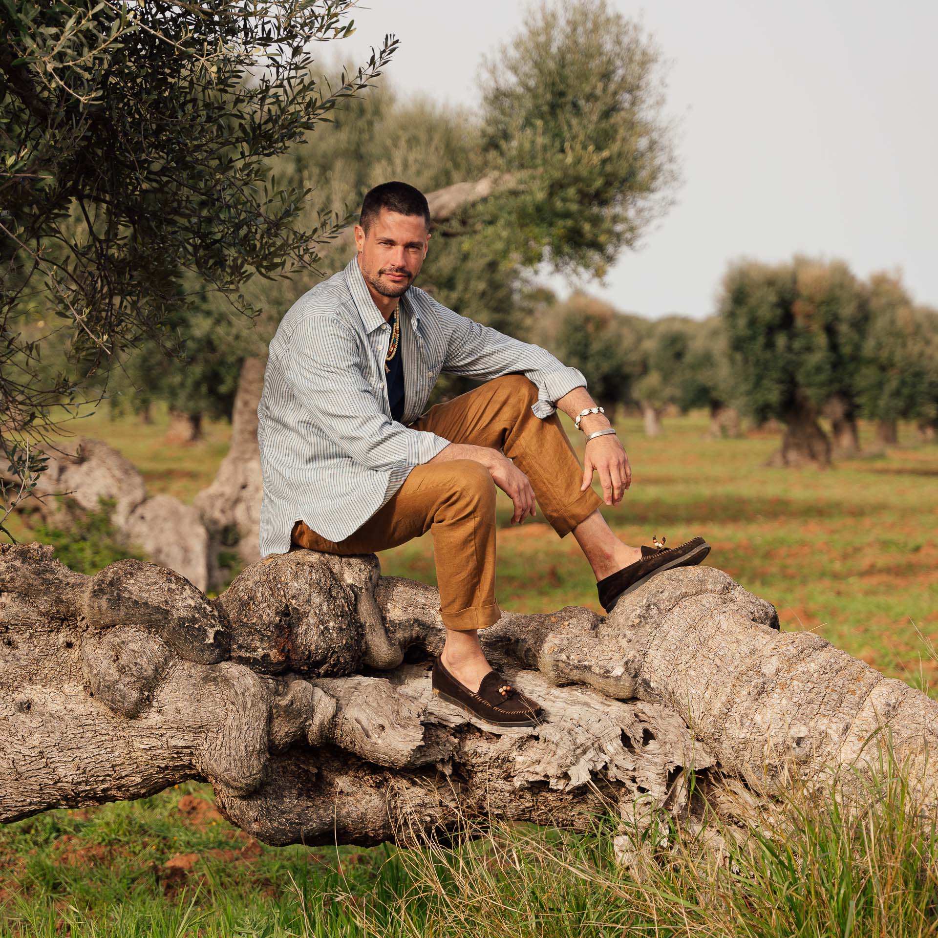  Balabiott、mySite、merchandisen