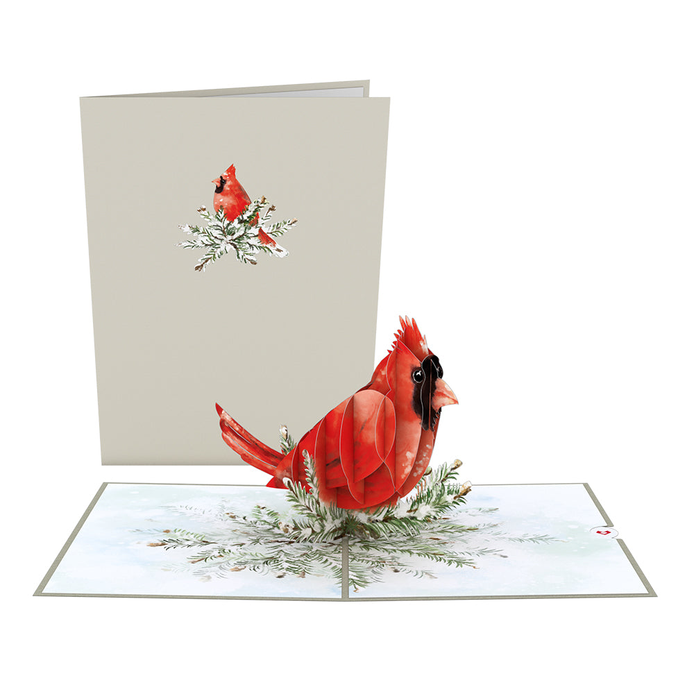 Winter Cardinal Pop-Up Card、mySite、solidvoid