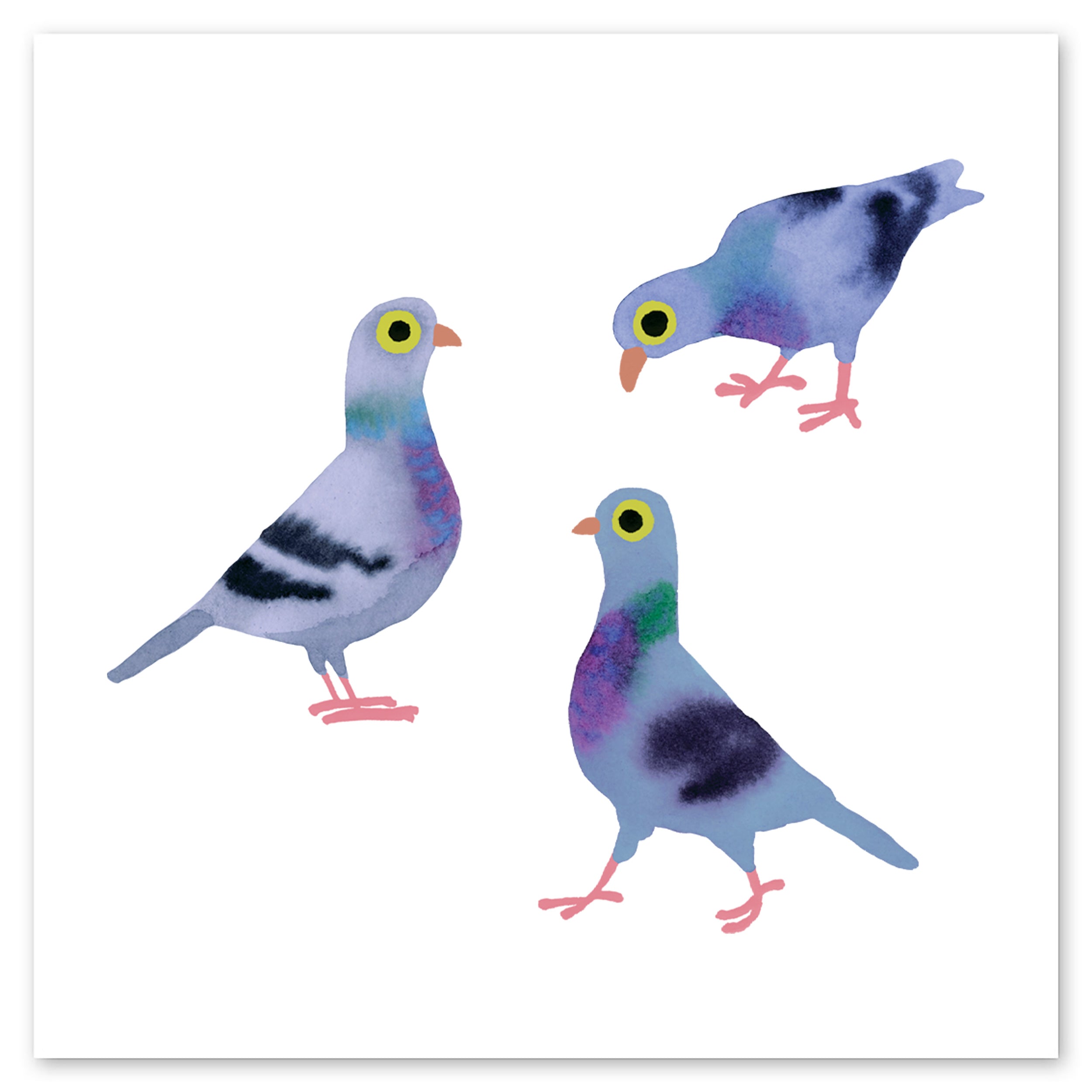  Pigeon Pals Tattly Temporary Tattoos、mySite、ghnorth