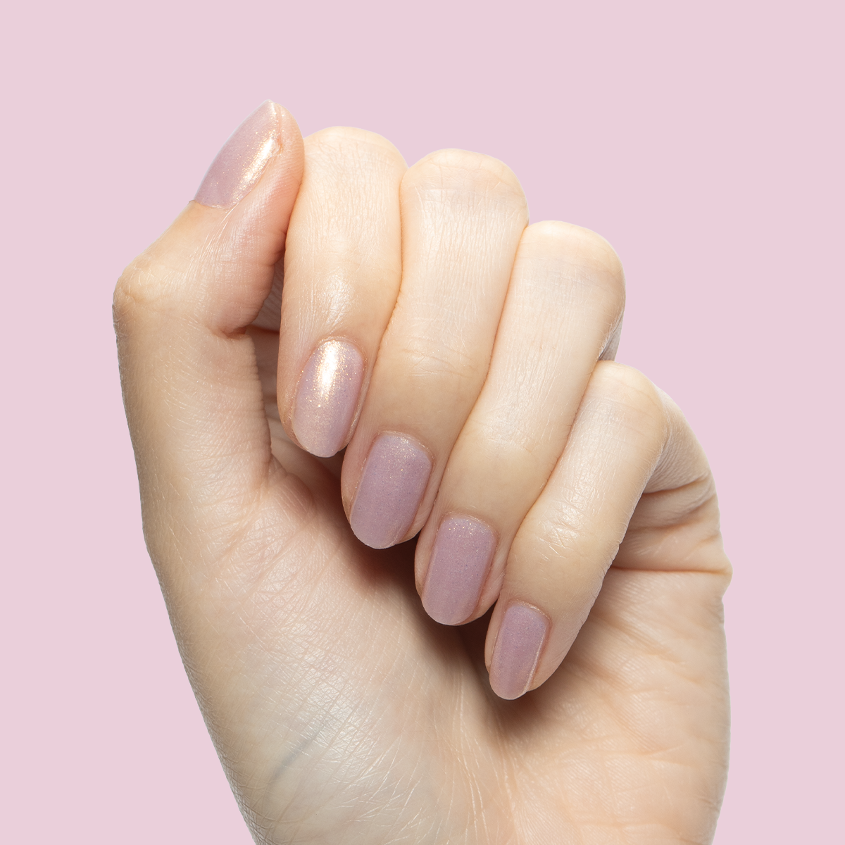 Star Baker、mySite、solidvoid