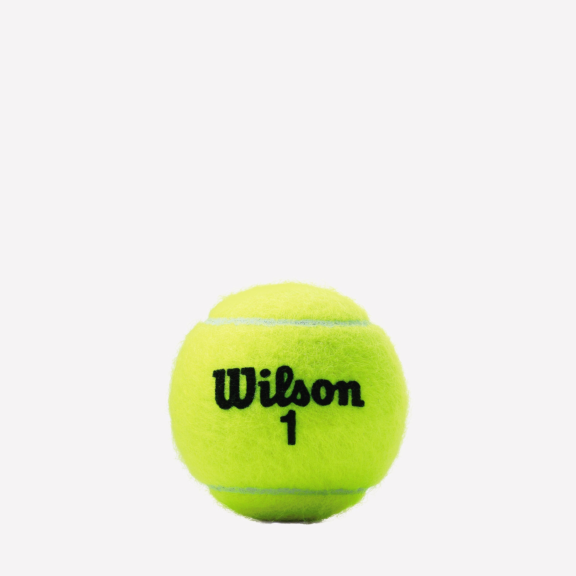 Wilson Championship Extra Duty 3 Tennis Balls