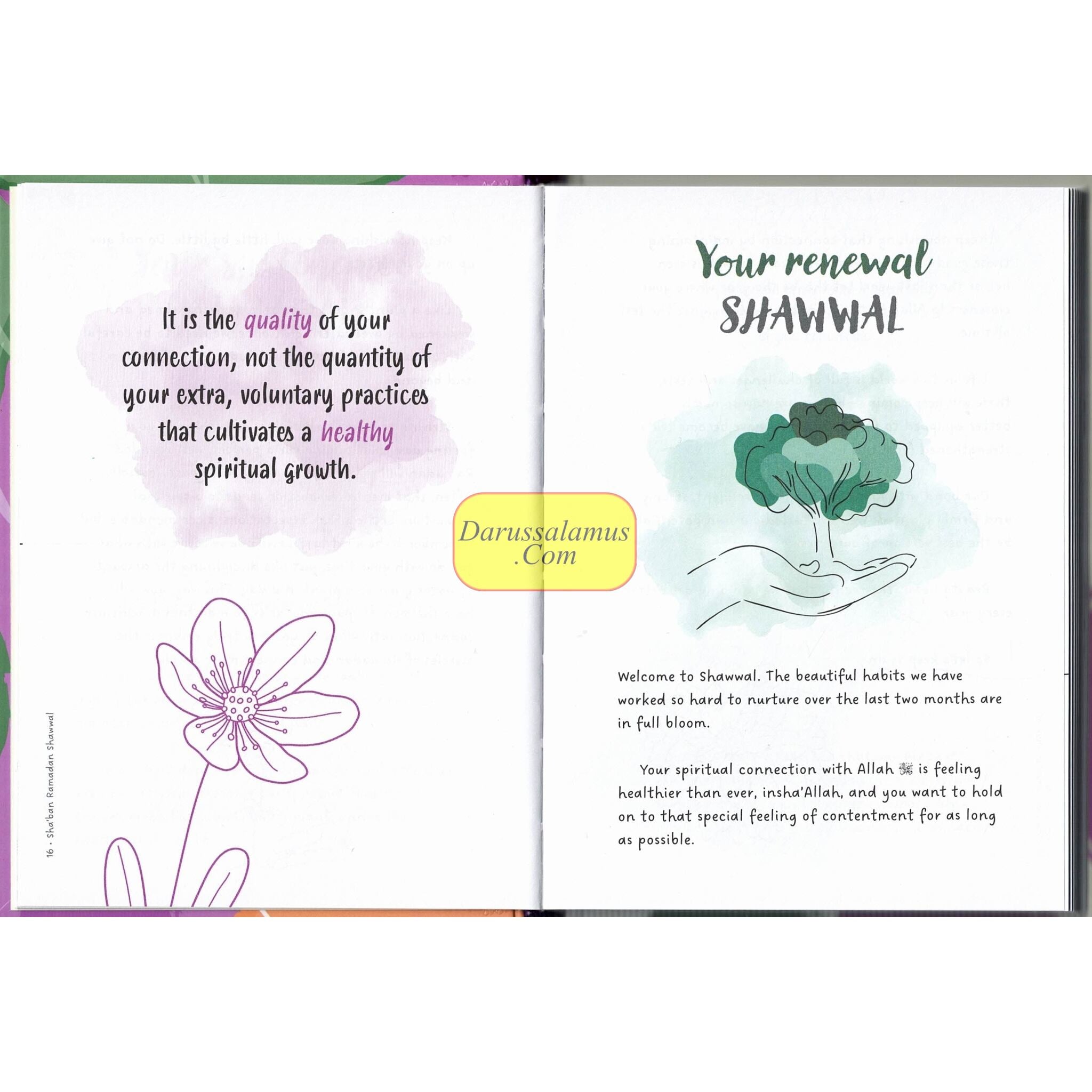 Sha'ban Ramadan Shawwal A guide to nurturing the soul during these blessed months、mySite、topwebapps