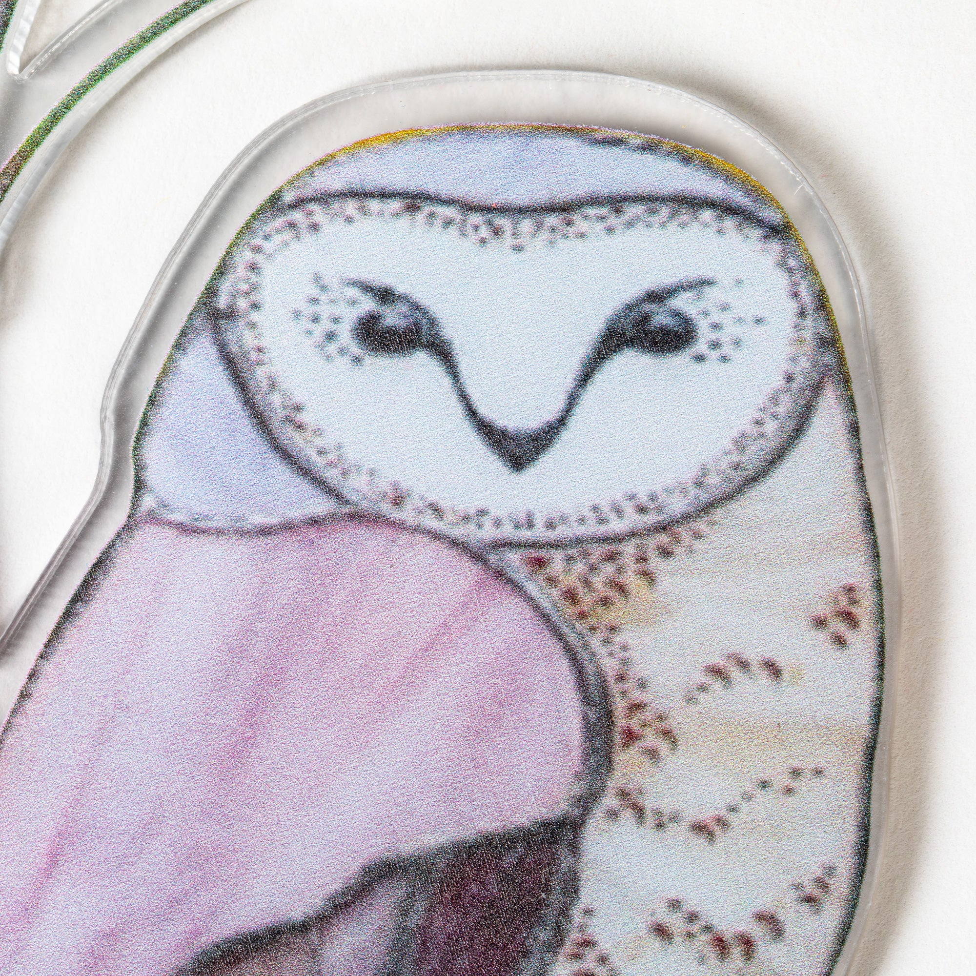 Beauty In Nature Indoor Sun Catcher、mySite、camillekostekn