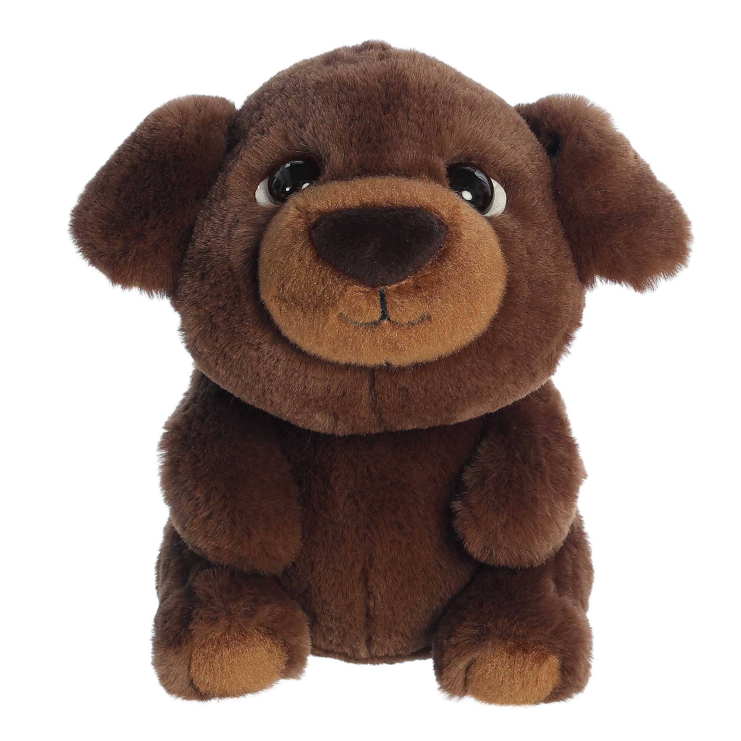 Aurora® - Boop™ - 9 Chip™、mySite、g9winljtr