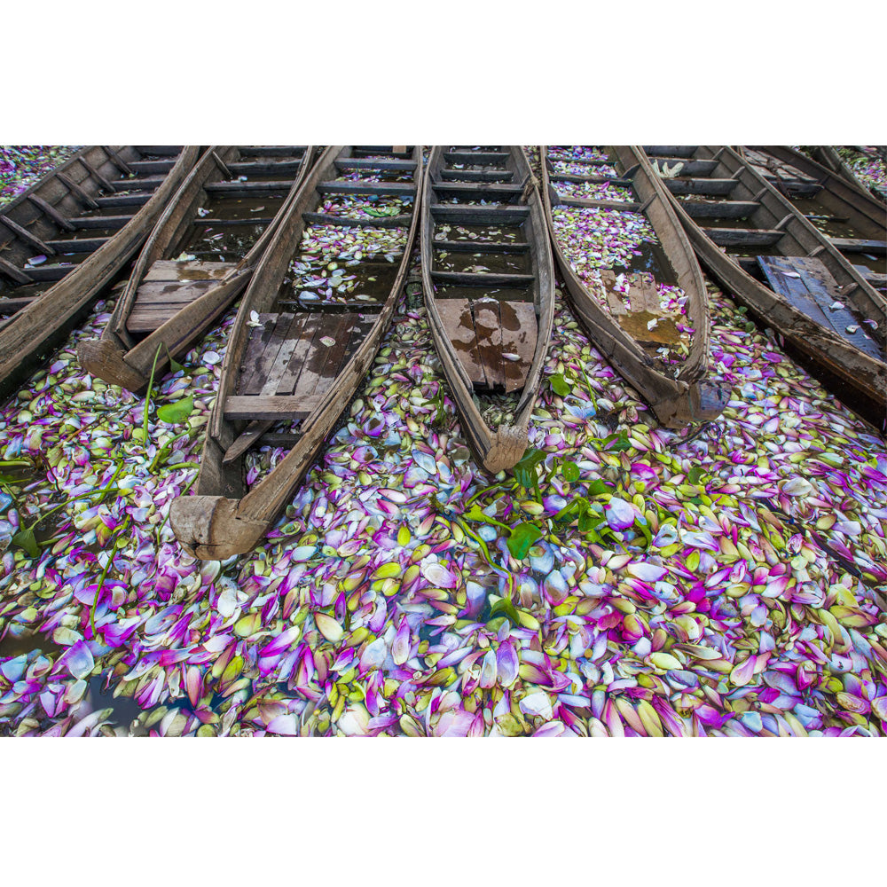 Lotus Tapestry Wall Art、mySite、topwebapps