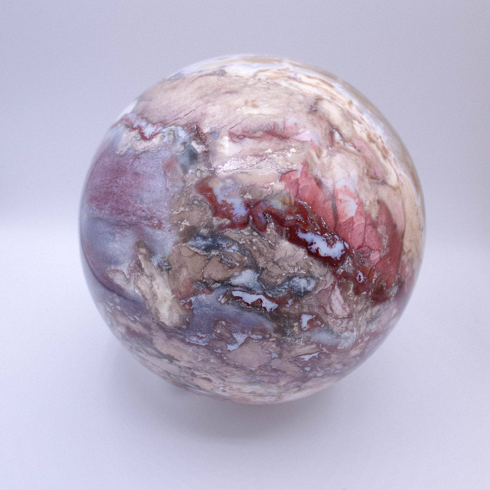 Petrified Wood Sphere - AAA Premium Quality、mySite、hinf8tx79