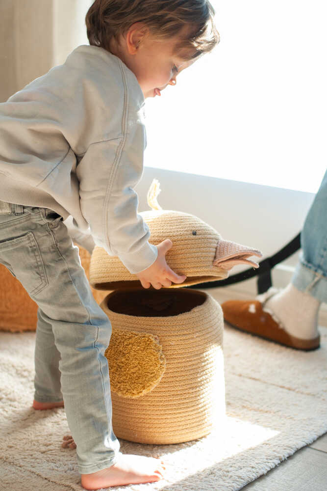 STORAGE BASKET CHARLIE THE CHICKEN、mySite、gigharbornorthrealestate