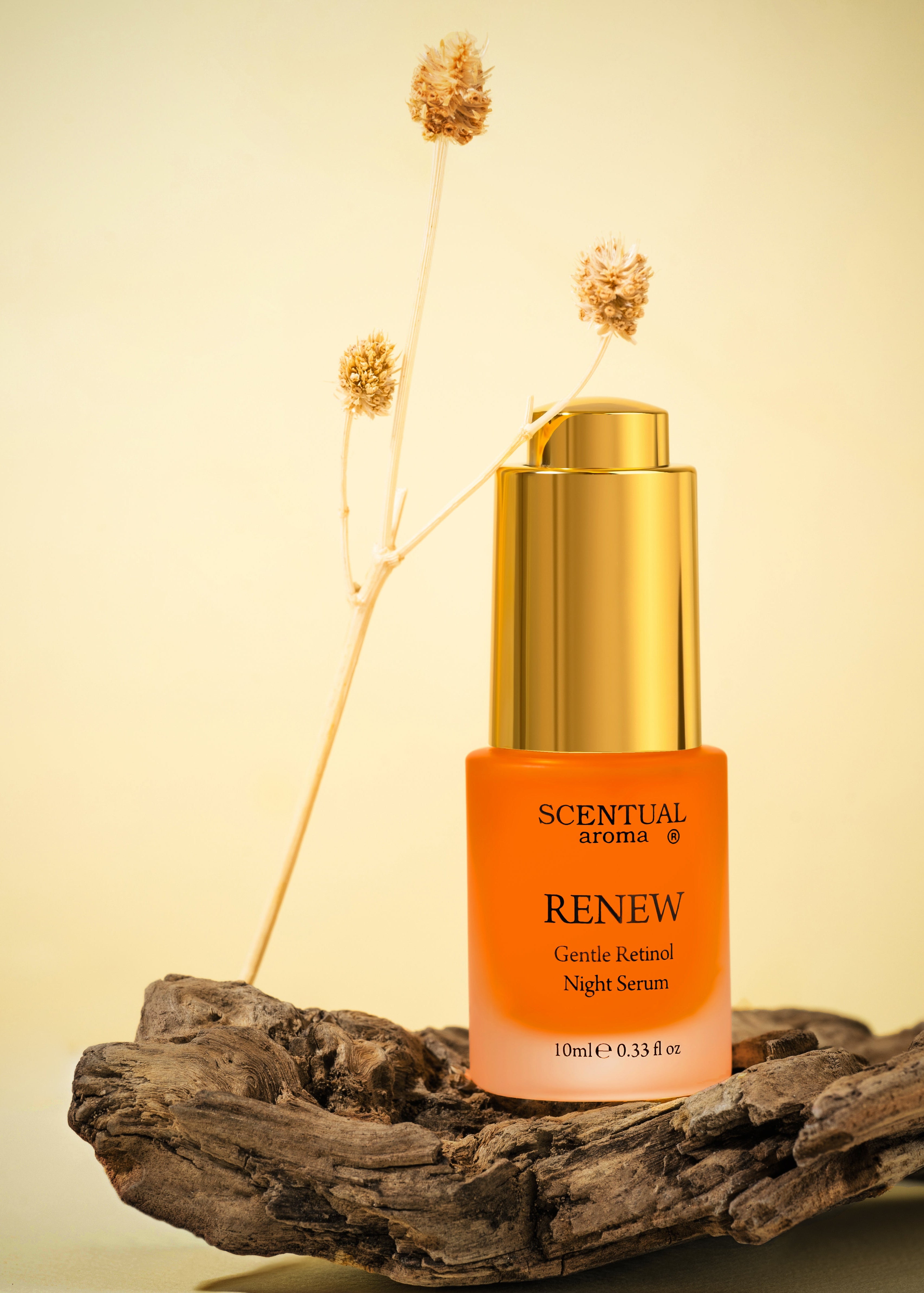  RENEW Gentle Retinol Night Serum | Plant-Based Vitamin A、mySite、elrpsem3k