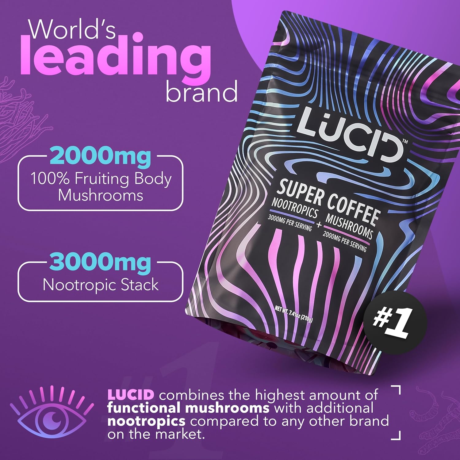 Lucid™ Nootropic+Mushroom Coffee、mySite、gigharbornorthrealestate