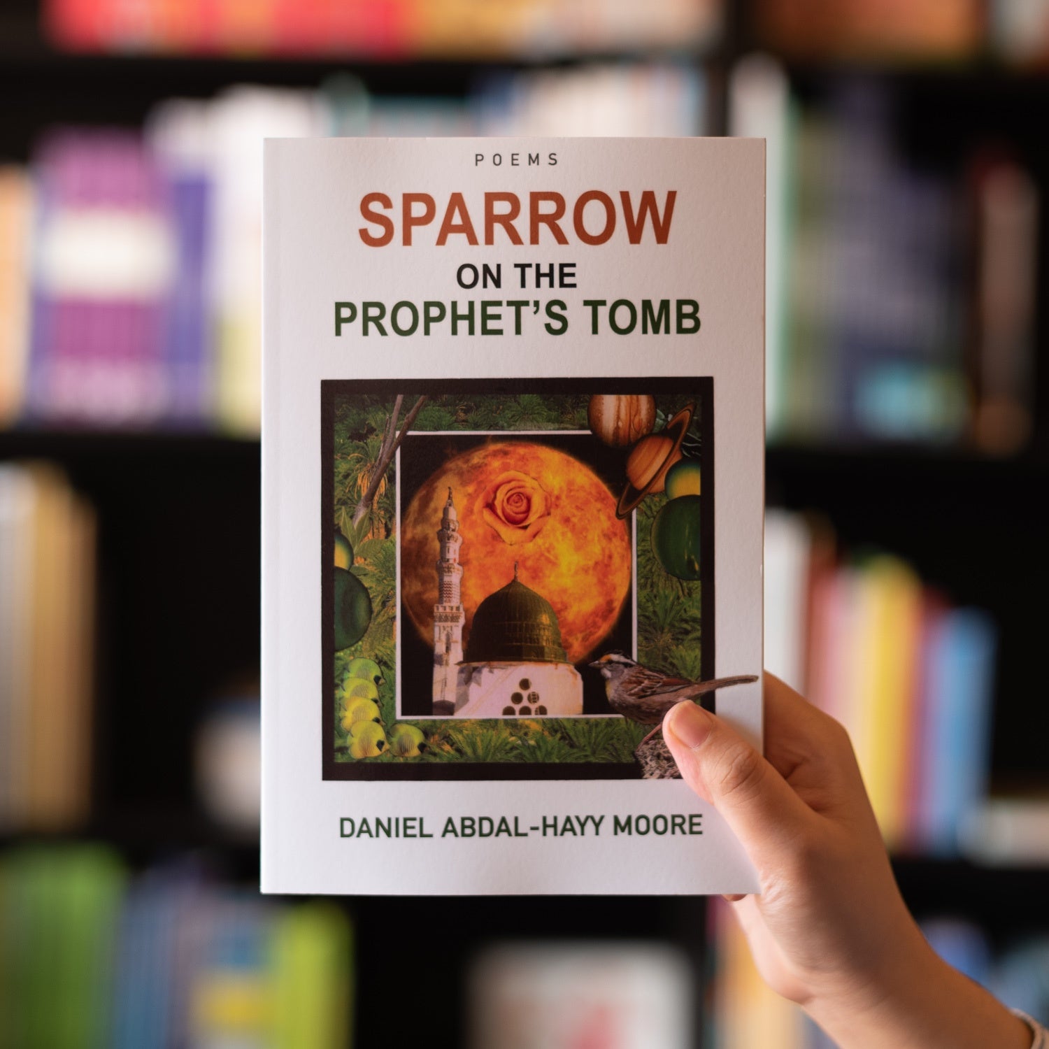 Sparrow on the Prophet's Tomb、mySite、topwebapps
