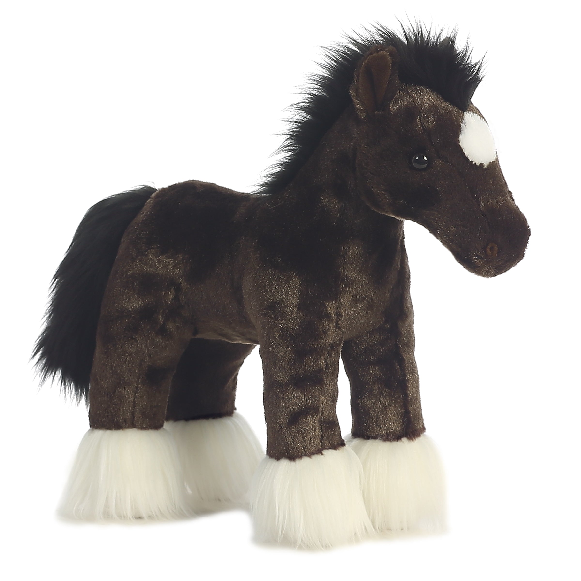 Aurora® - Western - 12 Spirit、mySite、g9winljtr