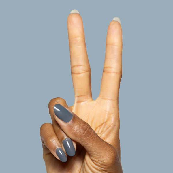 Torrential、mySite、solidvoid