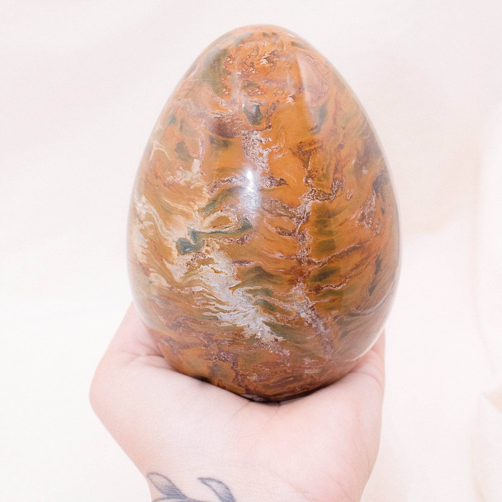Petrified Wood Egg - AAA Premium Quality、mySite、hinf8tx79