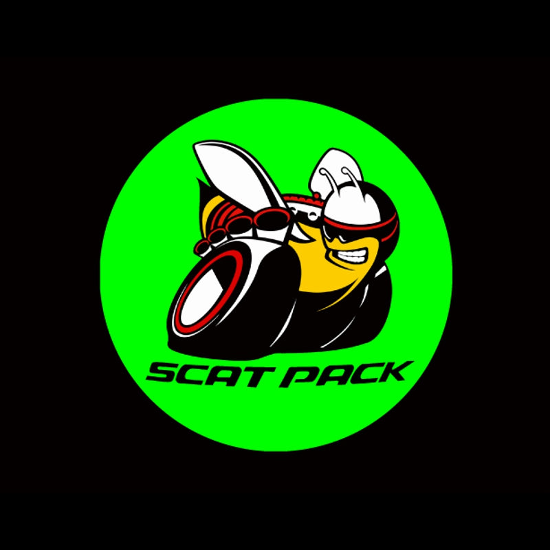 2x Dodge Charger/Challenger door light (plug&play)、mySite、nflplayoffbracketp