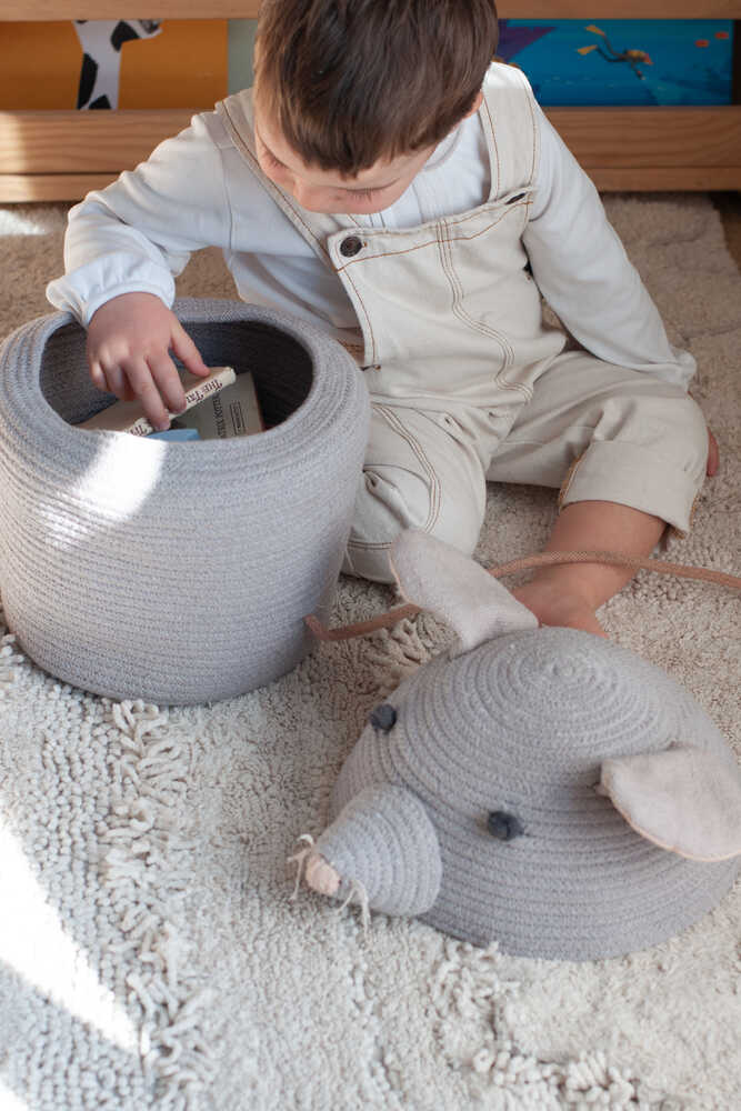 STORAGE BASKET RENATA THE RAT、mySite、gigharbornorthrealestate