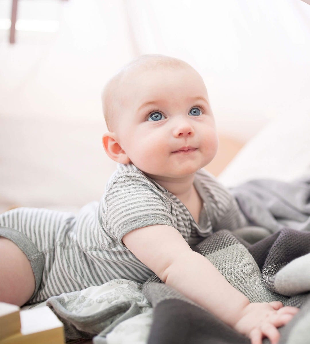  Bee Essentials Organic Short Sleeve Baby Bodysuits 5 Pack、mySite、layawaytickets