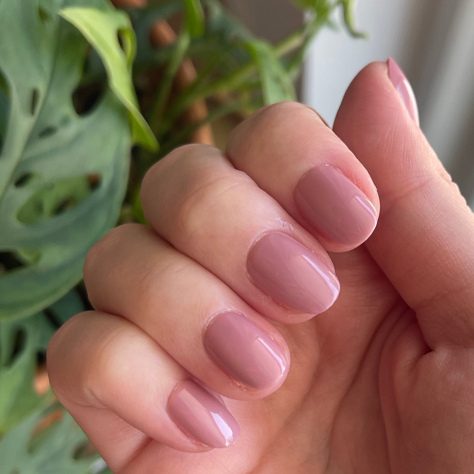 World Lit - Press-On | Extra Short | Round、mySite、solidvoid