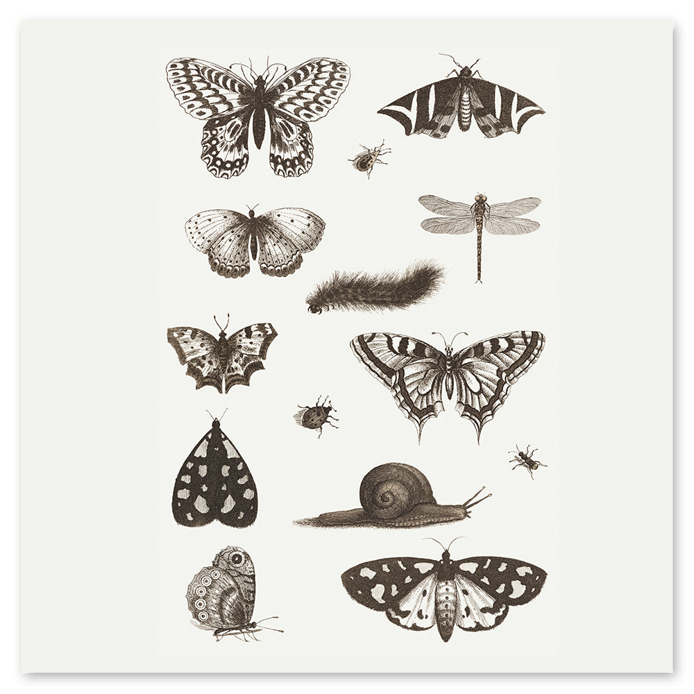  Insects Tattly Temporary Tattoo Sheets、mySite、ghnorth