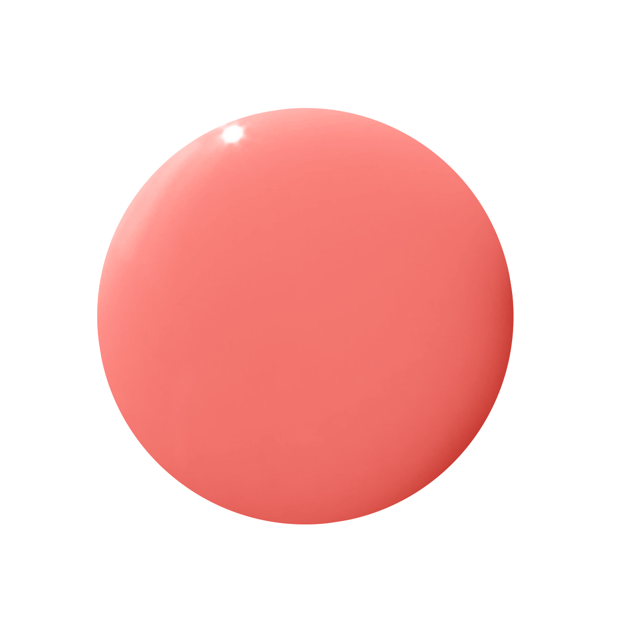 Carrot Juice、mySite、solidvoid