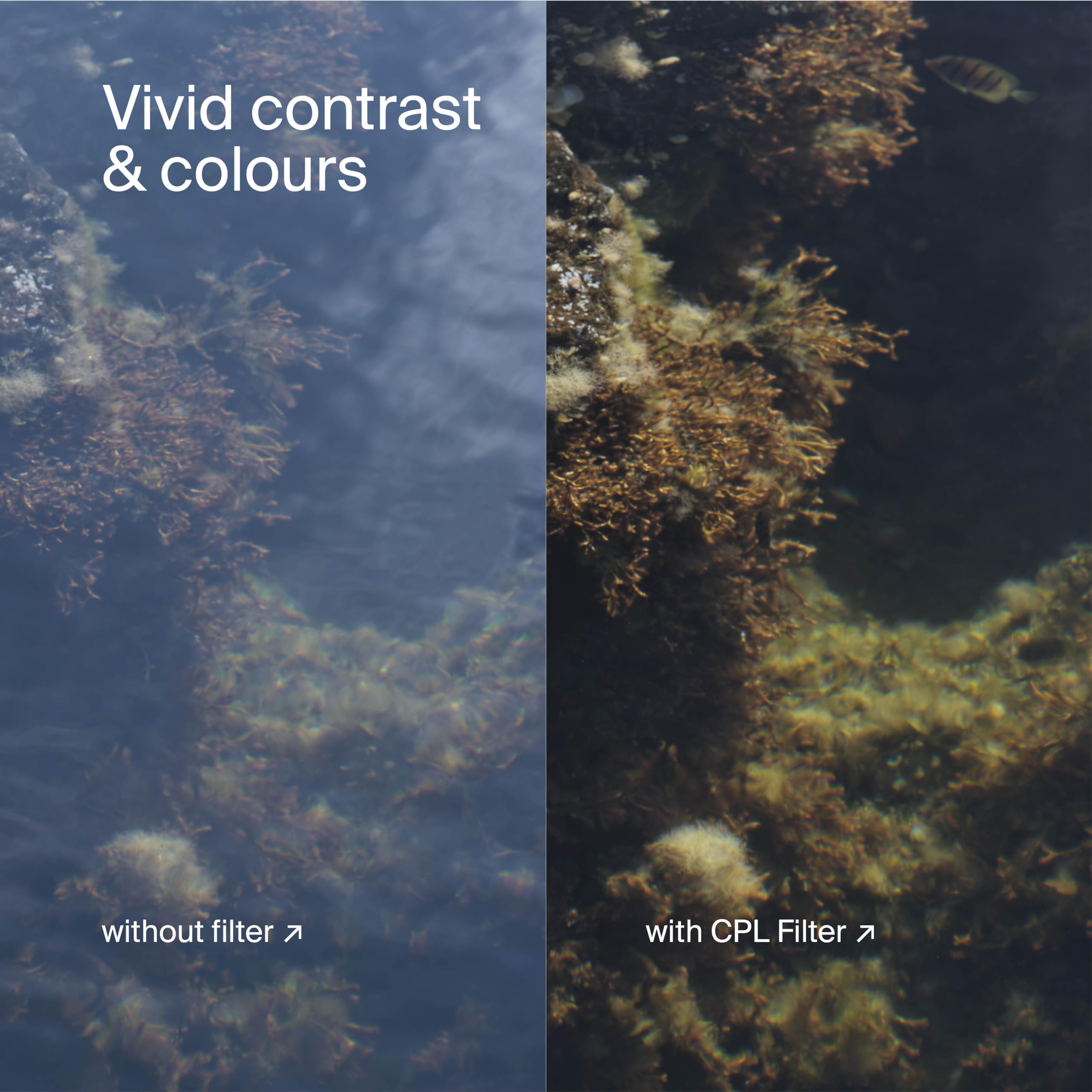 Urth 82mm UV, Circular Polarizing (CPL), ND2-400 Lens Filter Kit、mySite、camillekostekn