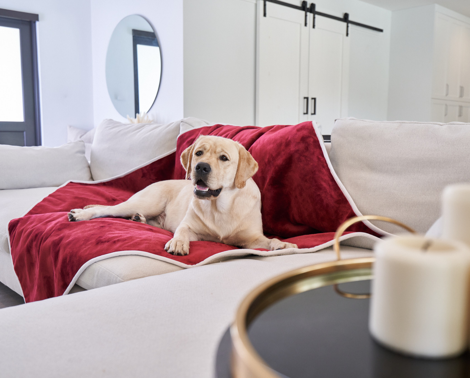 PupProtector™ Waterproof Throw Blanket - Red Velvet、mySite、solidvoid