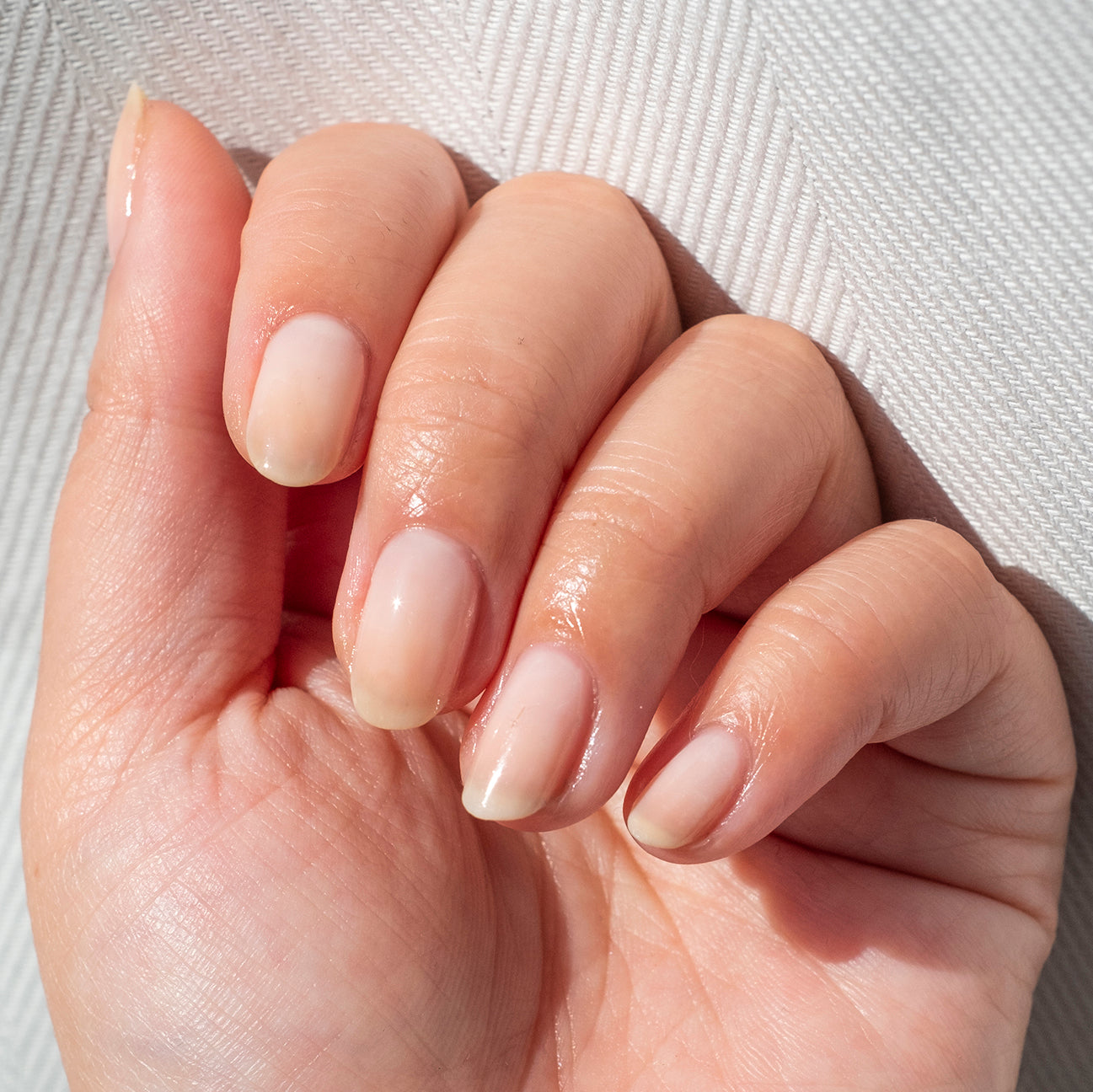 EC、mySite、solidvoid