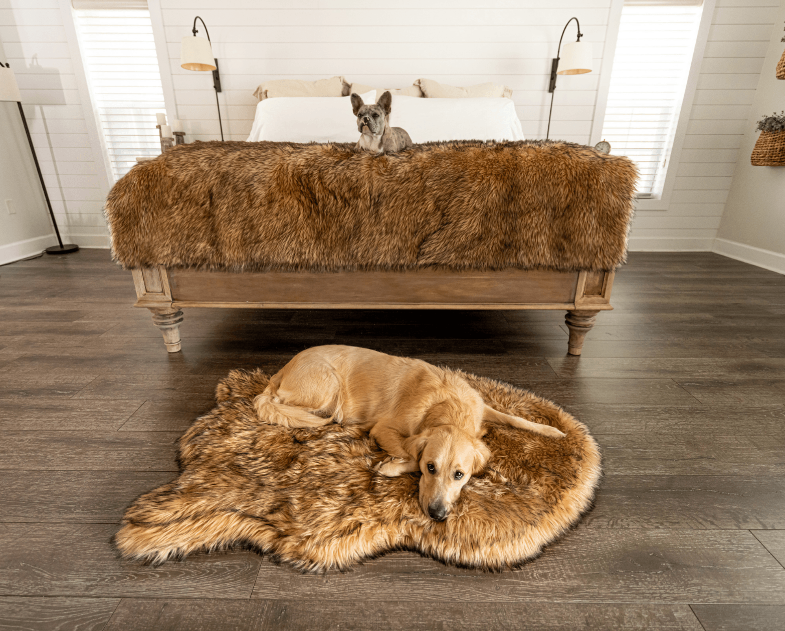 PupRug™ Orthopedic Bed + Matching Waterproof Blanket Bundle- Sable Tan、mySite、solidvoid