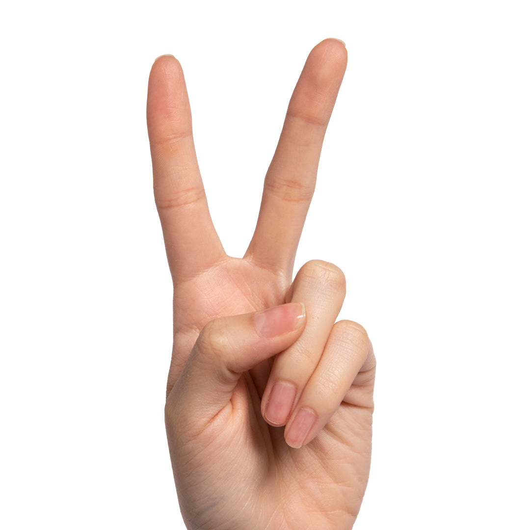 Crystal、mySite、solidvoid