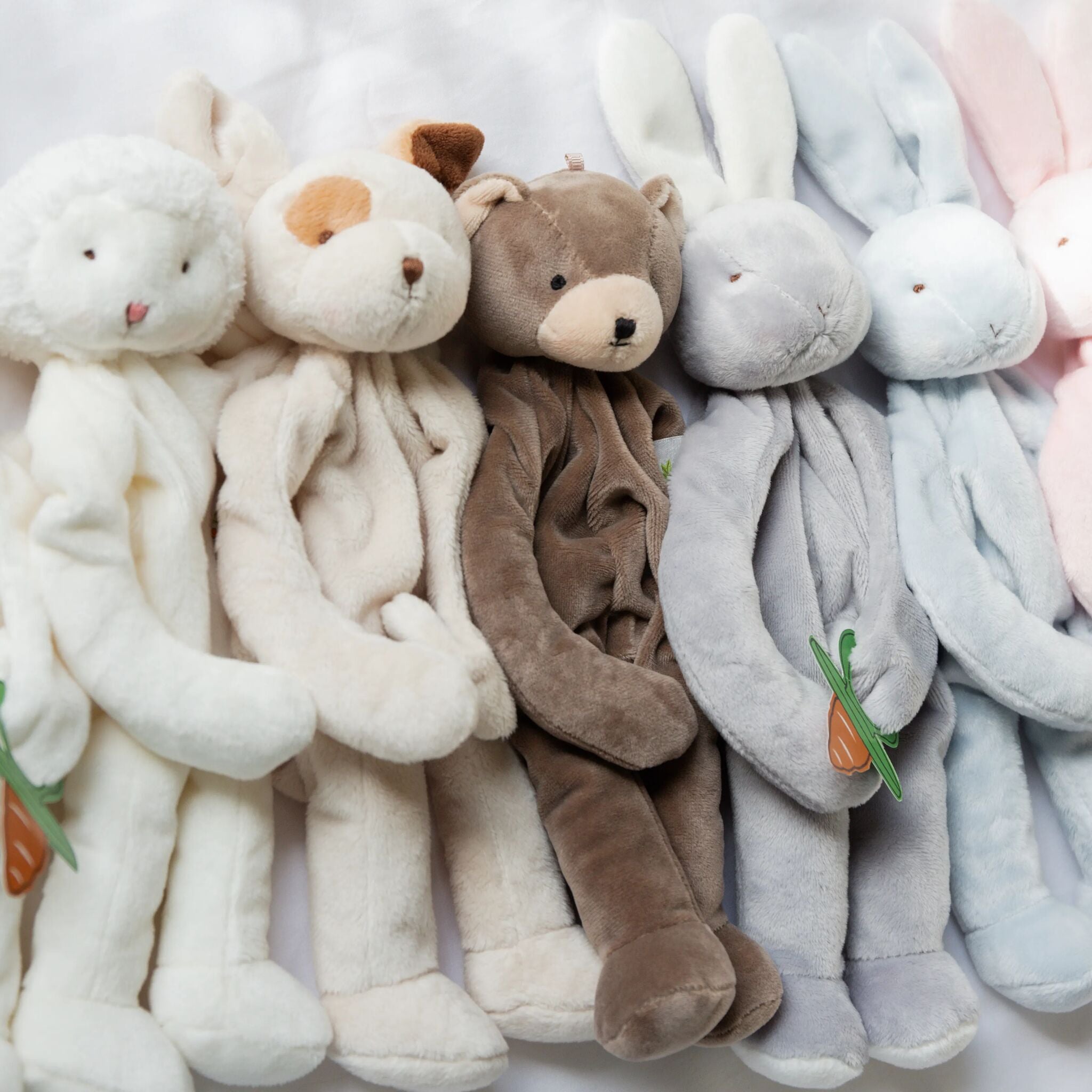 Cubby the Bear Silly Buddy、mySite、g9winljtr