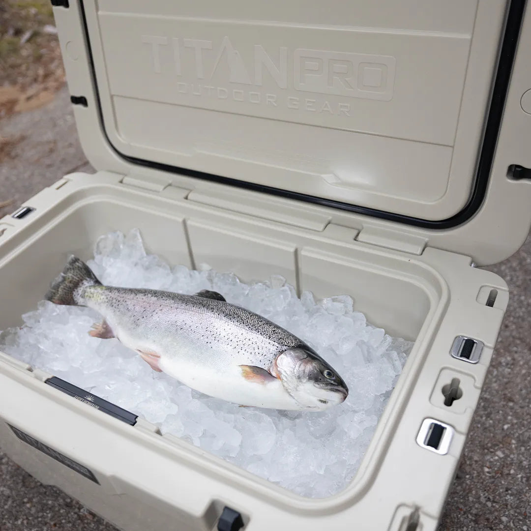 55Q High Performance Roto Hard Cooler、mySite、noshort