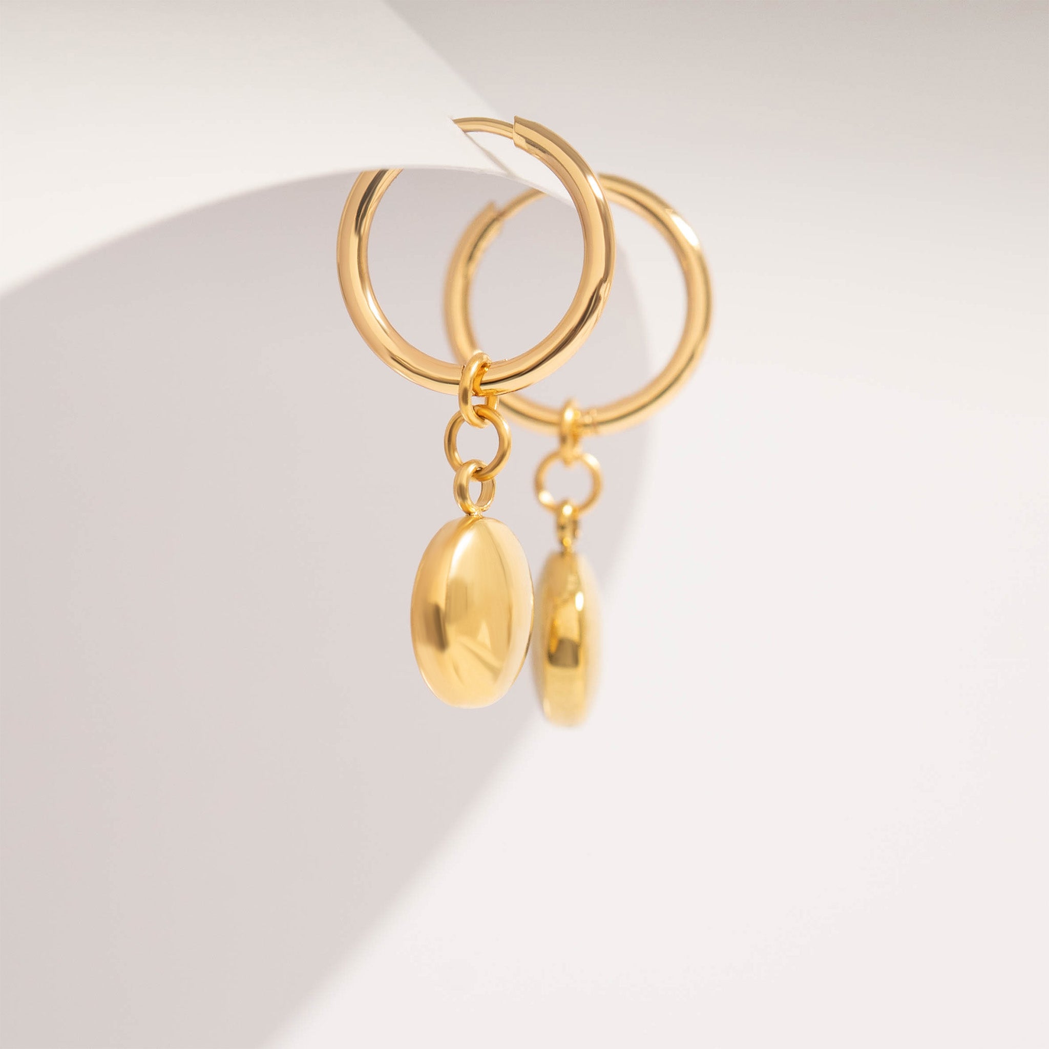 18K Gold PVD Stainless Steel Circle Coin Pendant Earrings / ERJ0049、mySite、dreamappss