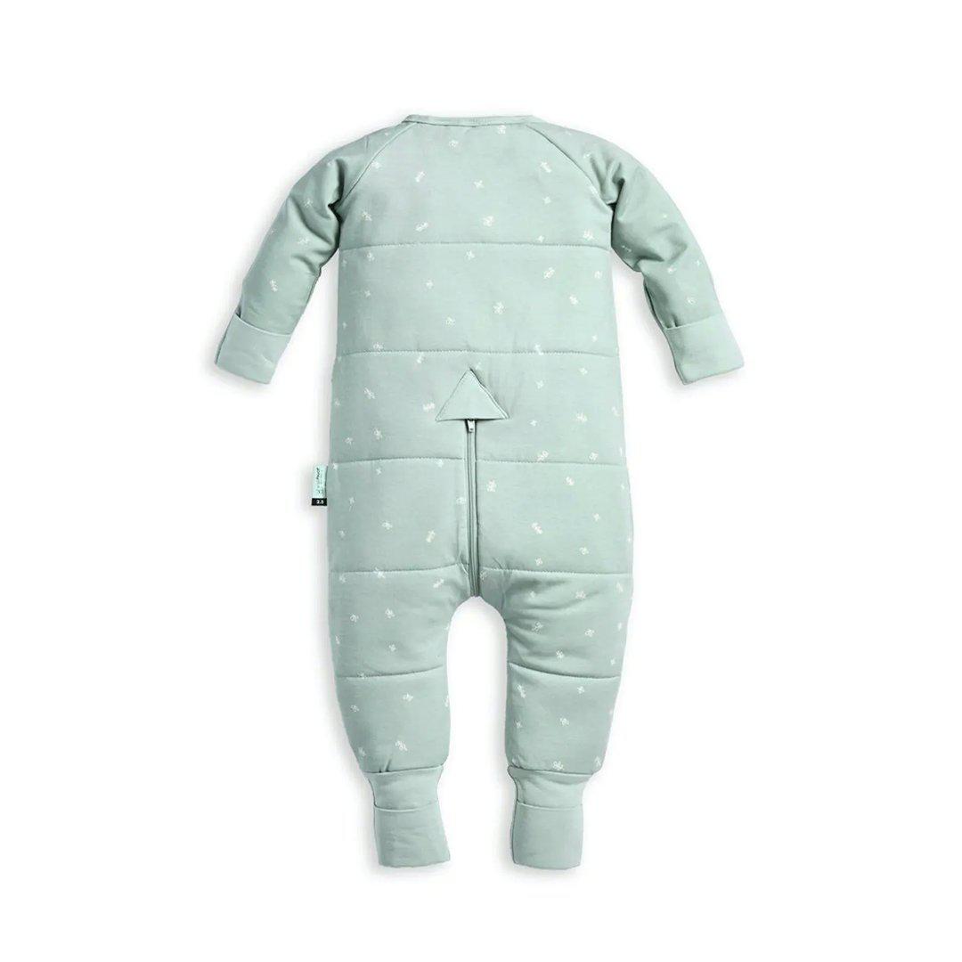  ergoPouch Organic Winter Long Sleeved Sleep Onesie - Sage - 2.5 TOG、mySite、merchandisen