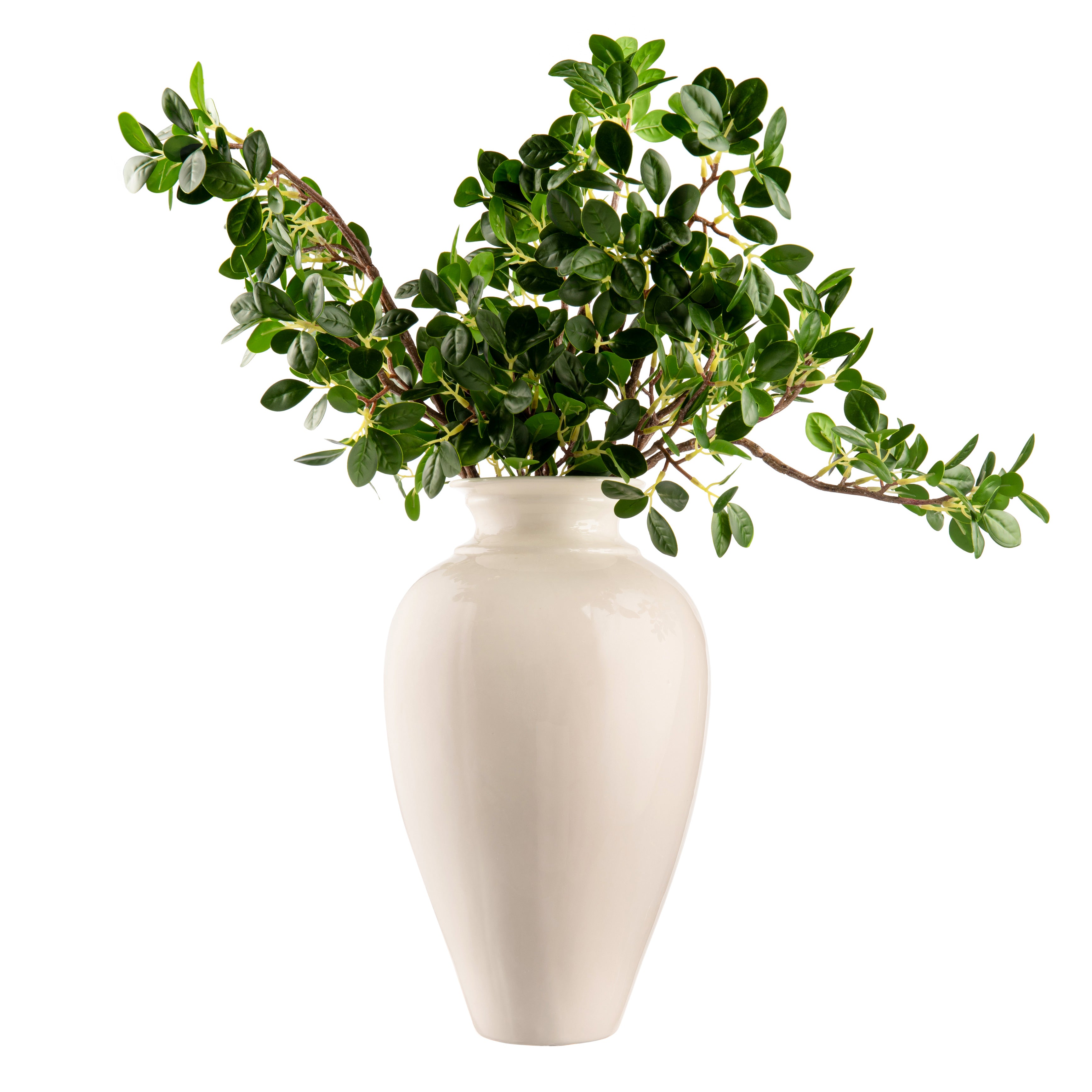  DH Ruscus Arrangement、mySite、elrpsem3k