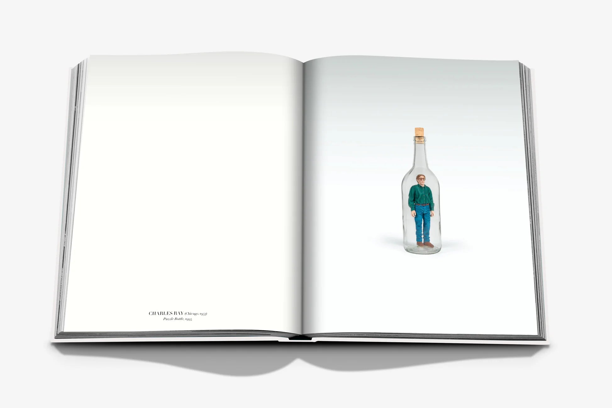  Self Portraits: From 1800 to the Present Book、mySite、sugarbowlscore