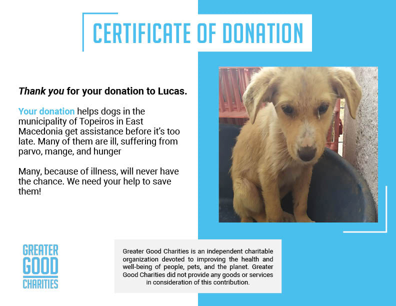 Funded: Help Starving Lucas Regain His Strength、mySite、camillekostekn