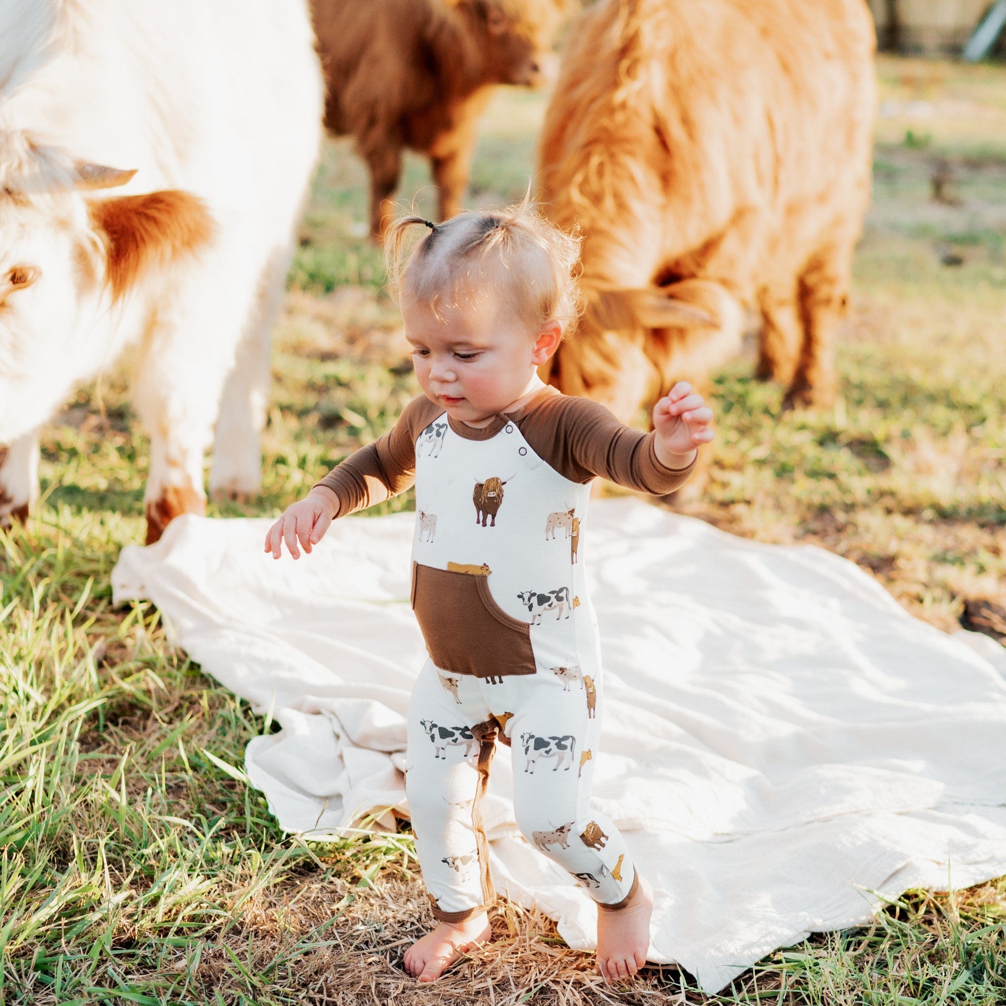  Longall in Moo、mySite、layawaytickets