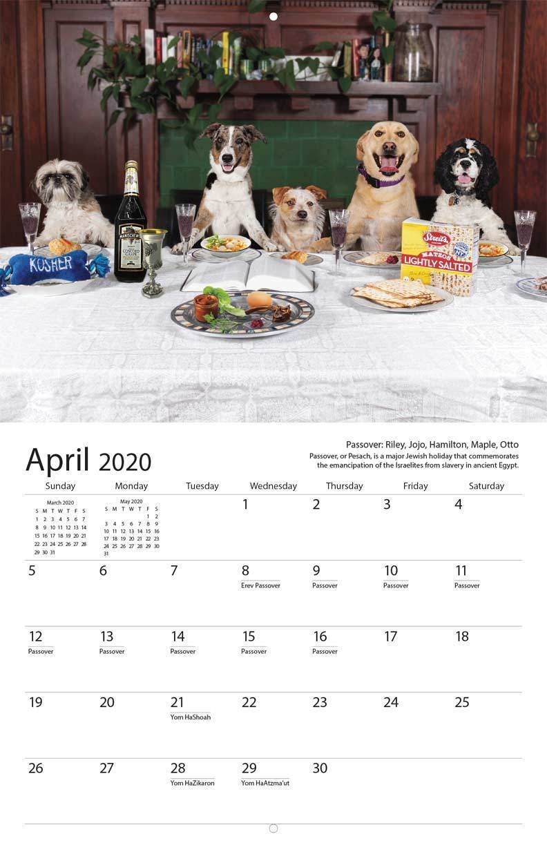 Nice Jewish Dogs Calendar 2020、mySite、topwebapps