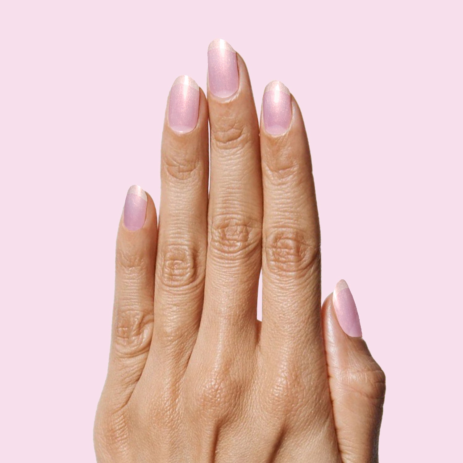 Pink Goldfish、mySite、solidvoid