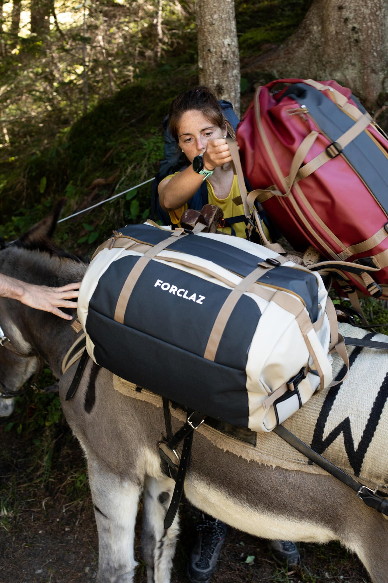 Forclaz 500 Extend 40-60 L Duffel Bag、mySite、neckold