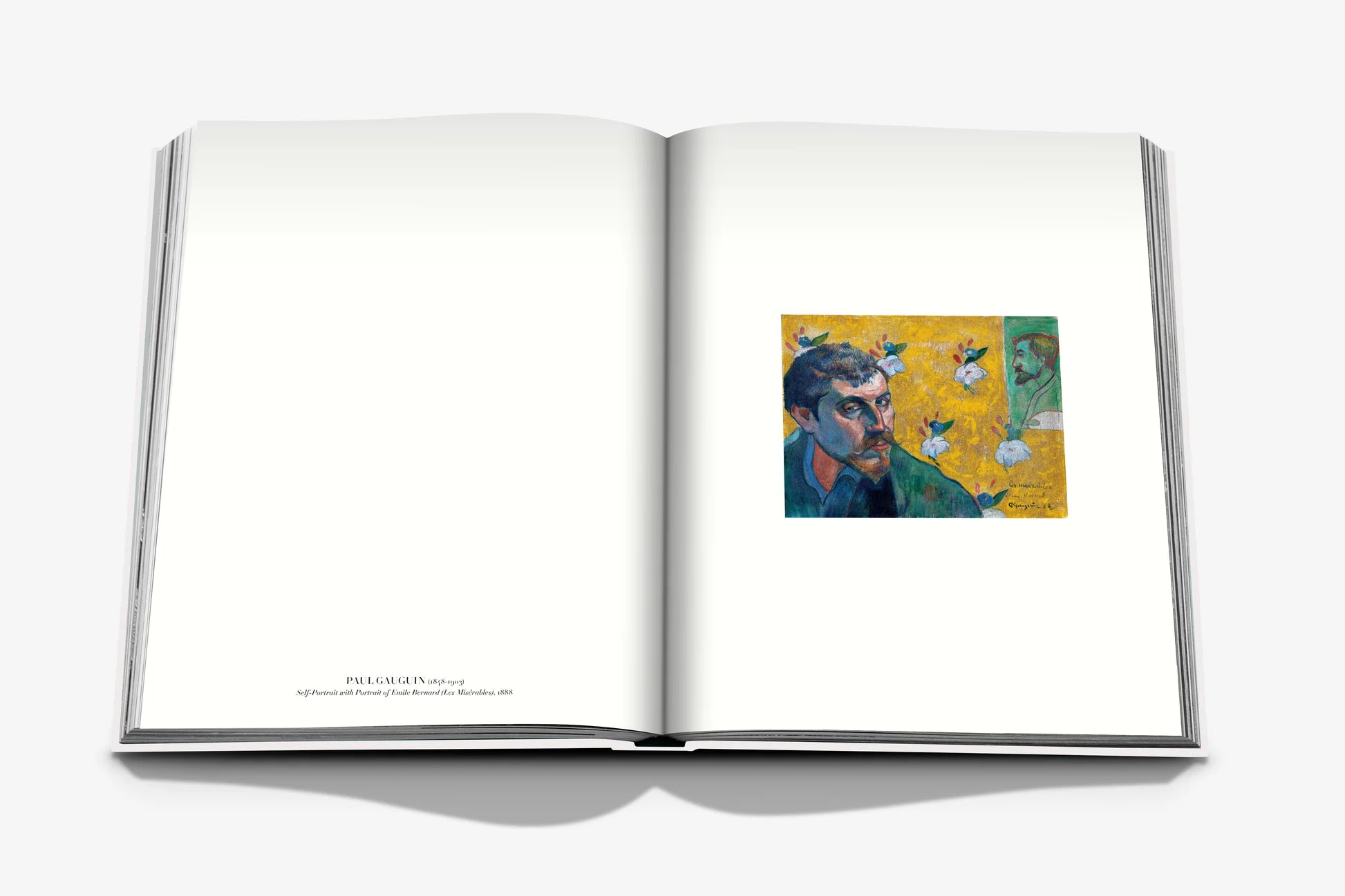  Self Portraits: From 1800 to the Present Book、mySite、sugarbowlscore