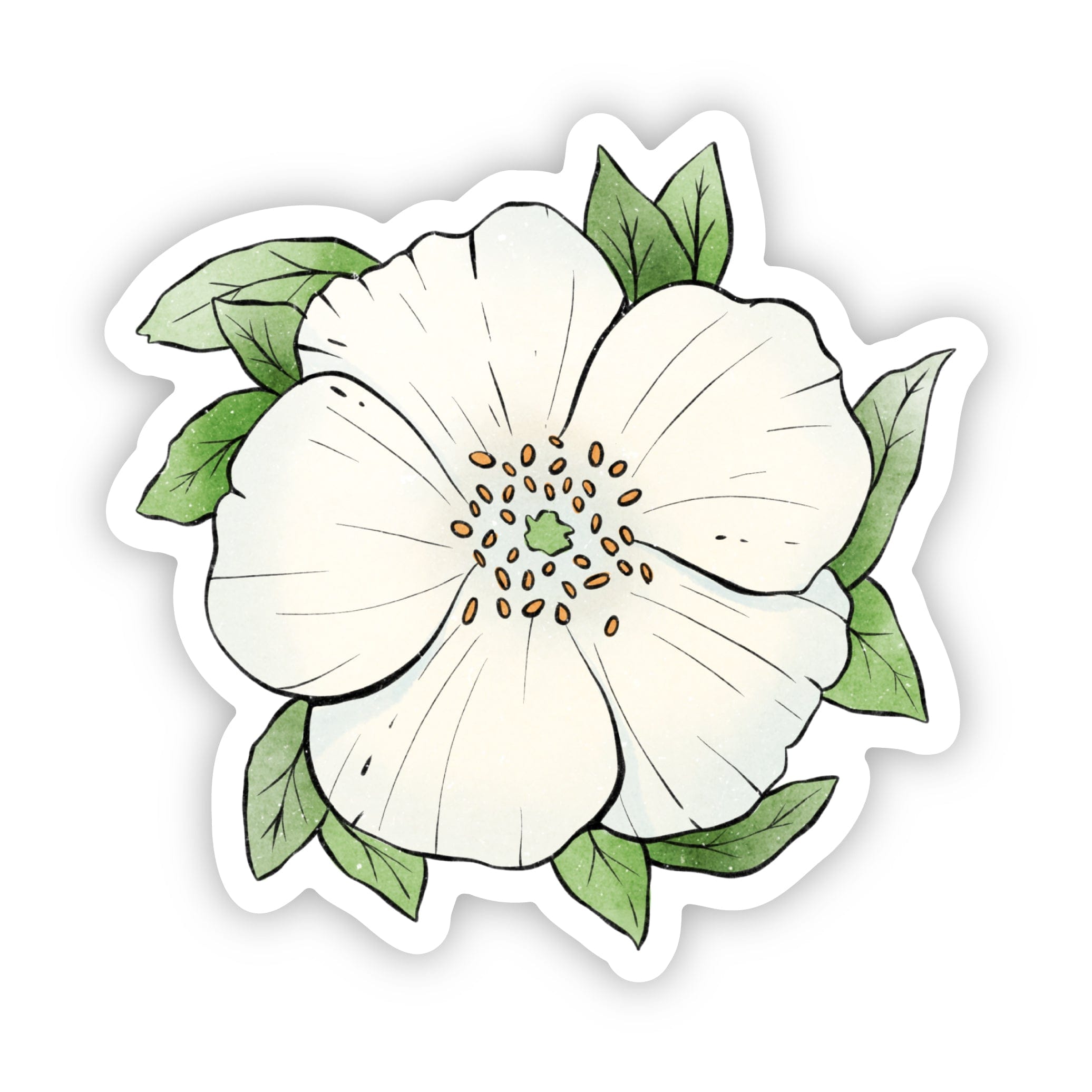  Georgia Cherokee Rose Flower Sticker、mySite、elrpsem3k