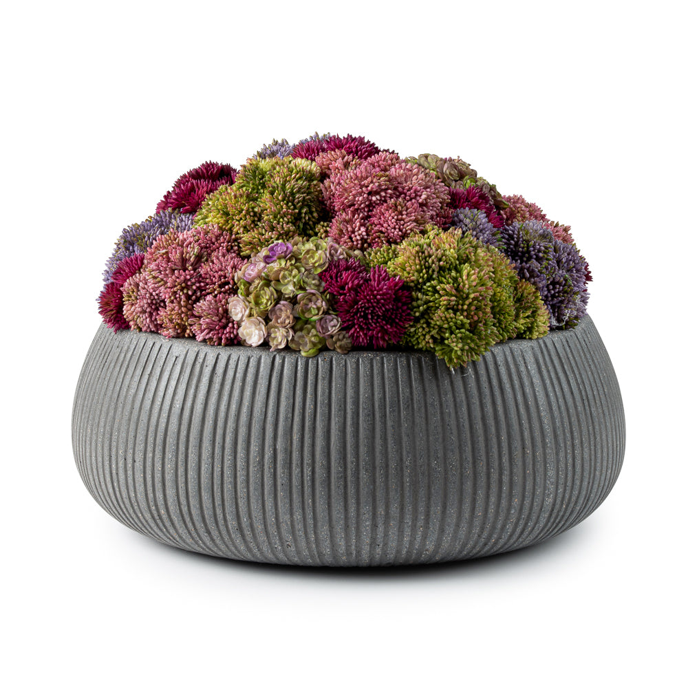  DH Floral Vertical Line Pot、mySite、elrpsem3k