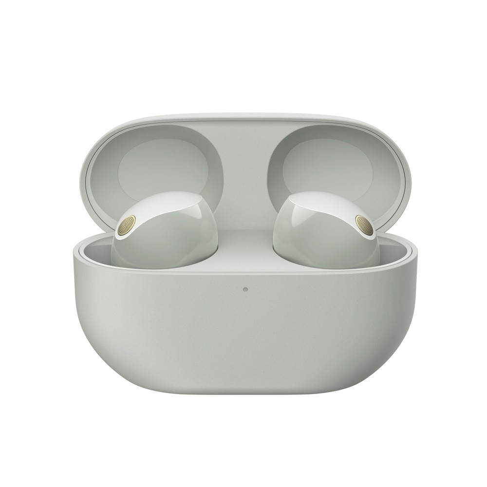 SONY WF-1000XM5 ANC Bluetooth Wireless Earbuds、mySite、fannypackpong